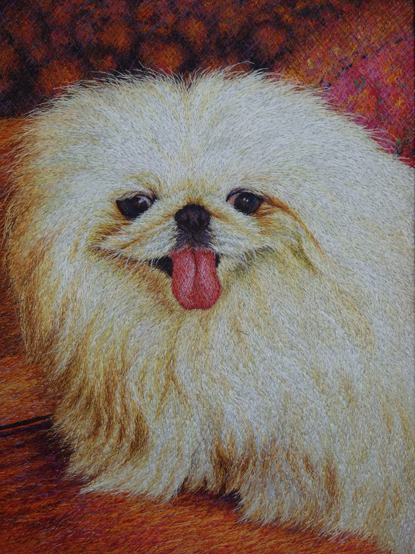 京巴犬二 Pekingese 2