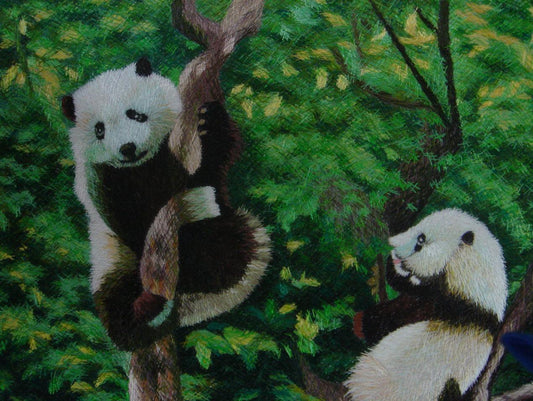 俩熊猫 Two Pandas