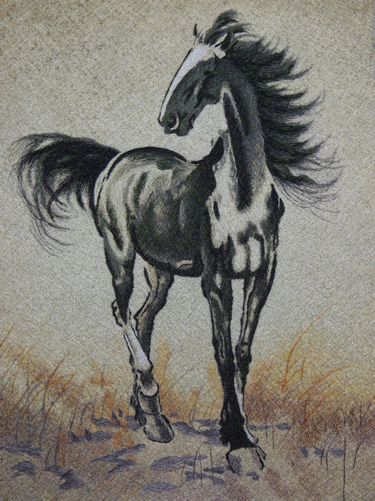 立马 Standing Horse